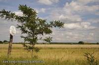 /album/hajduvid-nevezetessegei/dsc5242-jpg/